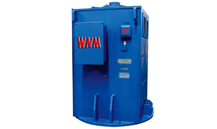 YL係列(liè)立式高壓(yā)三相交流異步電動機 YL係列立式高壓三相(xiàng)交流異步電動機