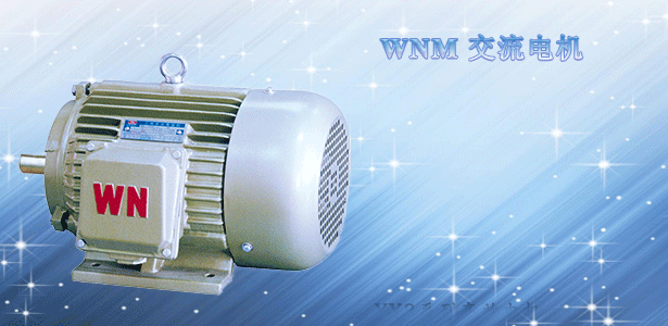 交(jiāo)流電機 交流電機