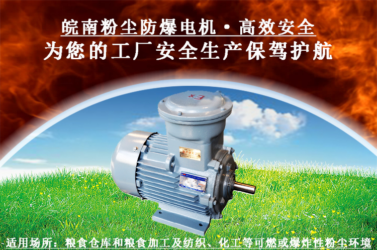 粉塵防爆(bào)電機 粉塵防爆電機
