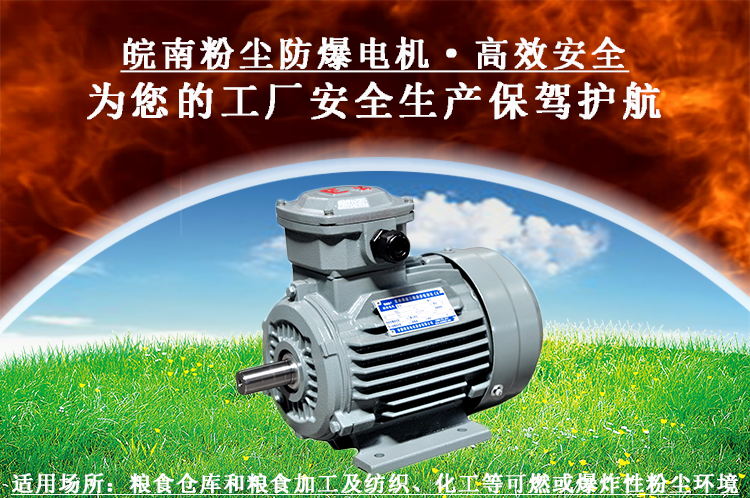 粉塵防爆電機 粉(fěn)塵(chén)防(fáng)爆電機