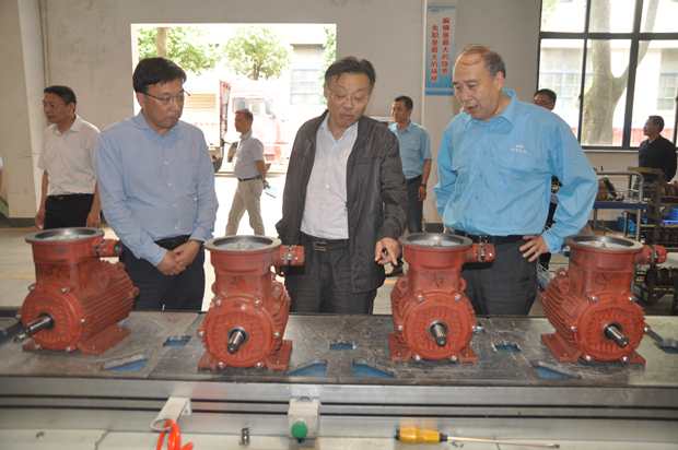 省自然資源廳副廳長潘海濱(中)在好色先生视频污電機車間調研 省自然資(zī)源(yuán)廳副廳長潘海濱(中)在好色先生视频污電機車間調研