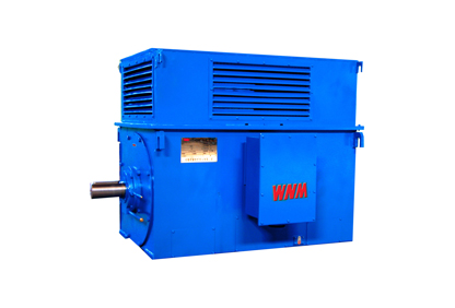 Y係列中型高壓高效電(diàn)動機 Y係(xì)列中型高壓高效電動機