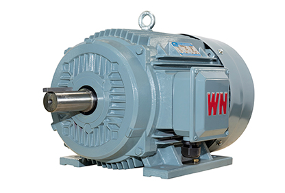 TYCP係列三相變頻驅動永磁同步電動機