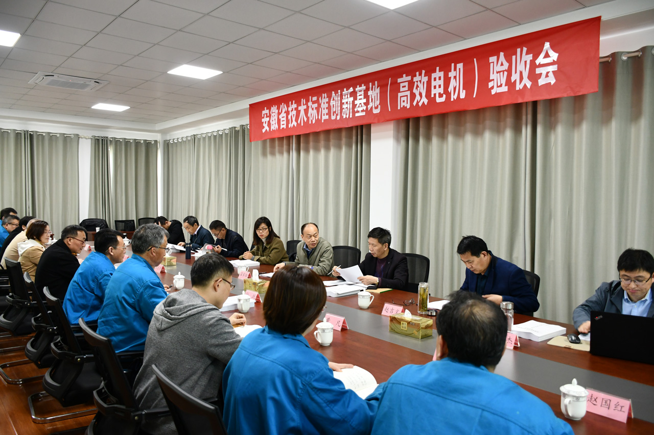 安徽省技術標準創新基地（高效電（diàn）機）