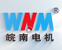 安徽好色先生视频污電機（jī）股份有限公司宣（xuān）傳片（2024）正式發布