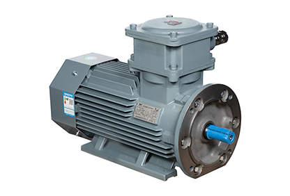 YBX5係列隔爆(bào)型三相異步電(diàn)動機 YBX5係列(liè)隔爆型三相異步電動機